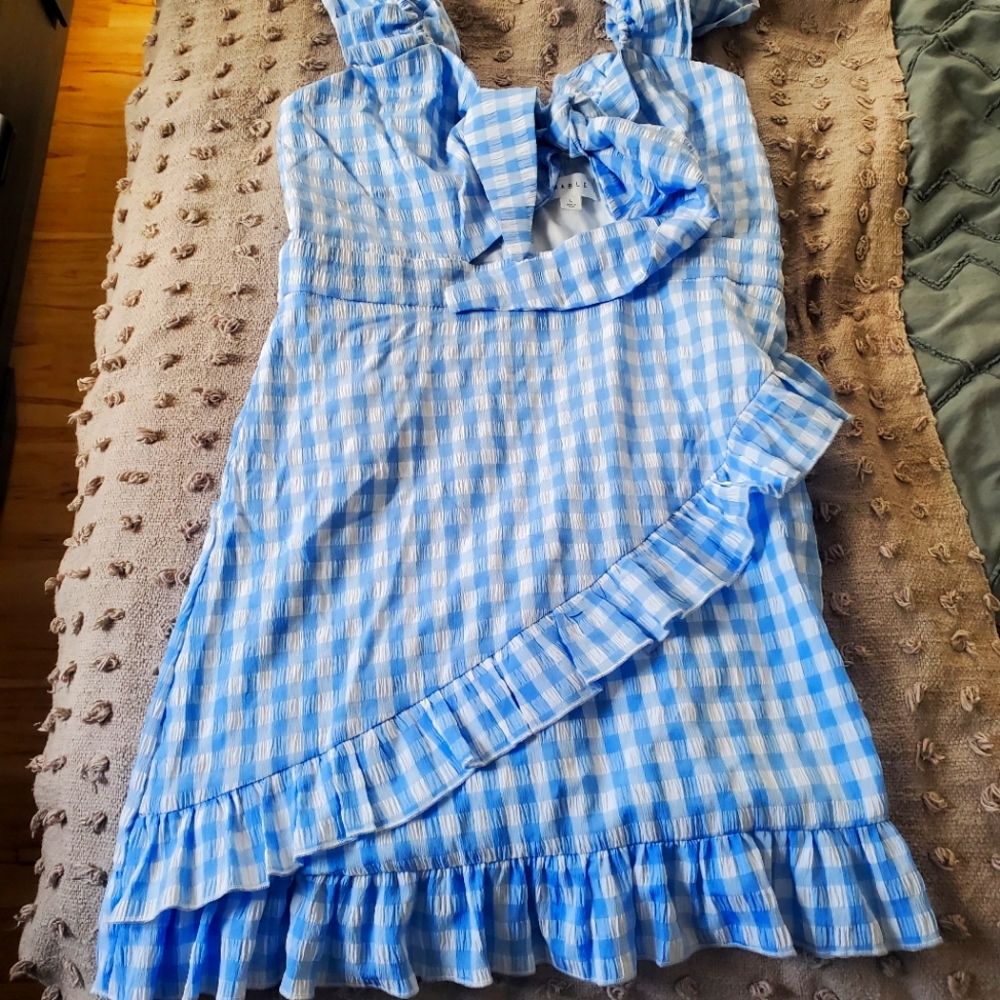 Farmhouse blue dress